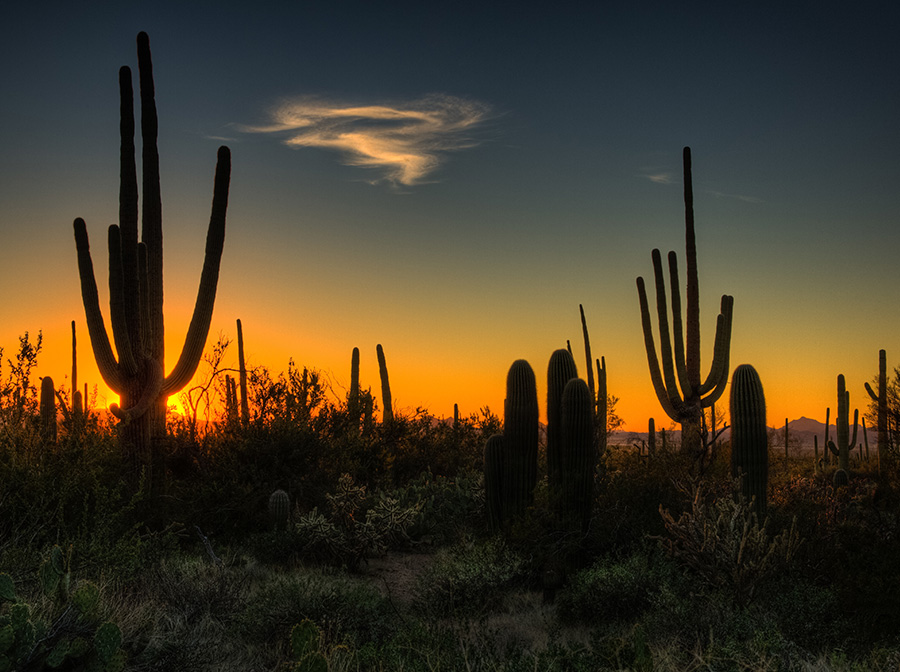 Guida ai viaggi in moto in Arizona
