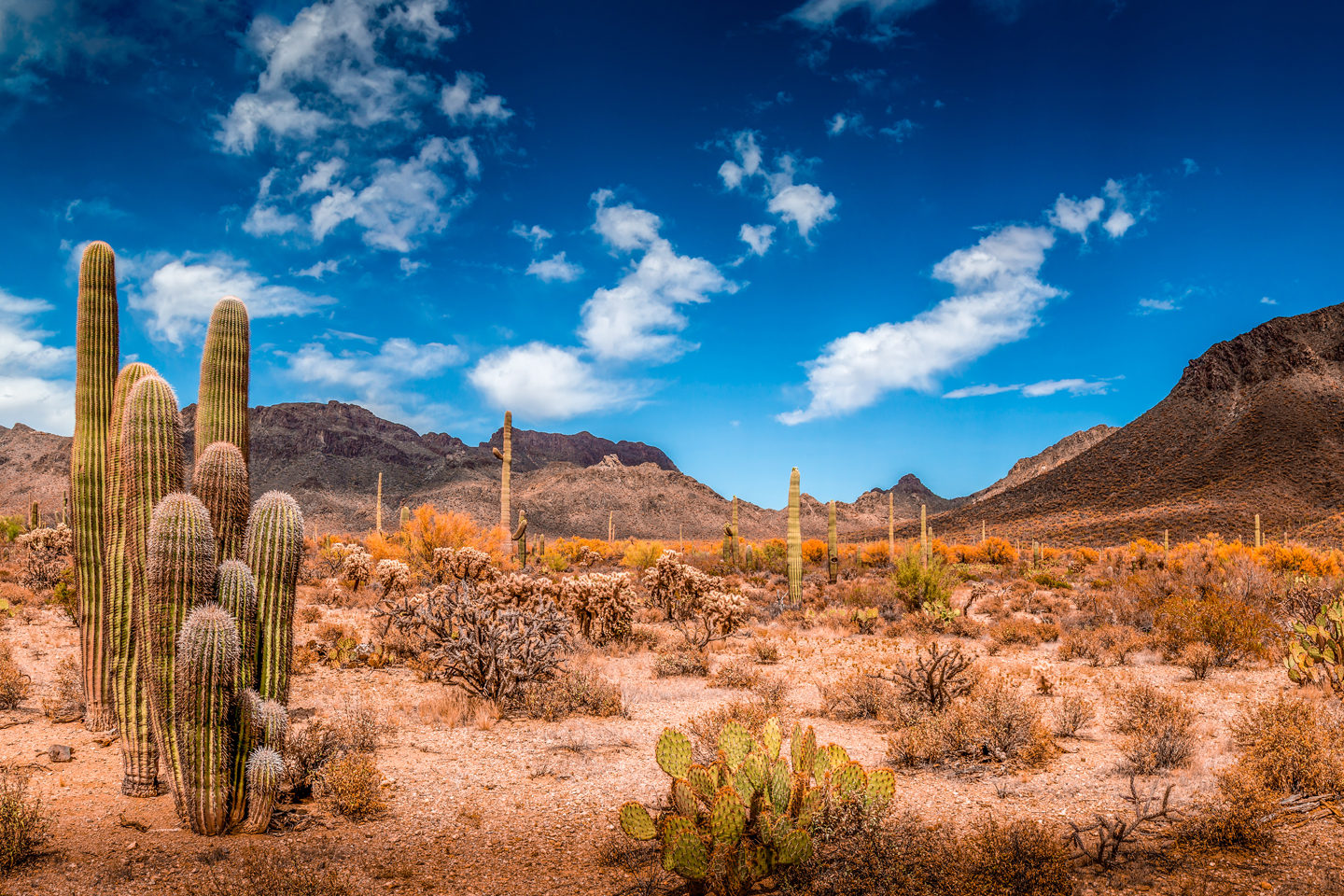 Scottsdale Motorcycle Rentals & Tours