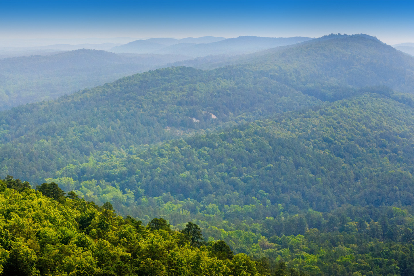 Rogers Motorcycle Rentals & Tours
