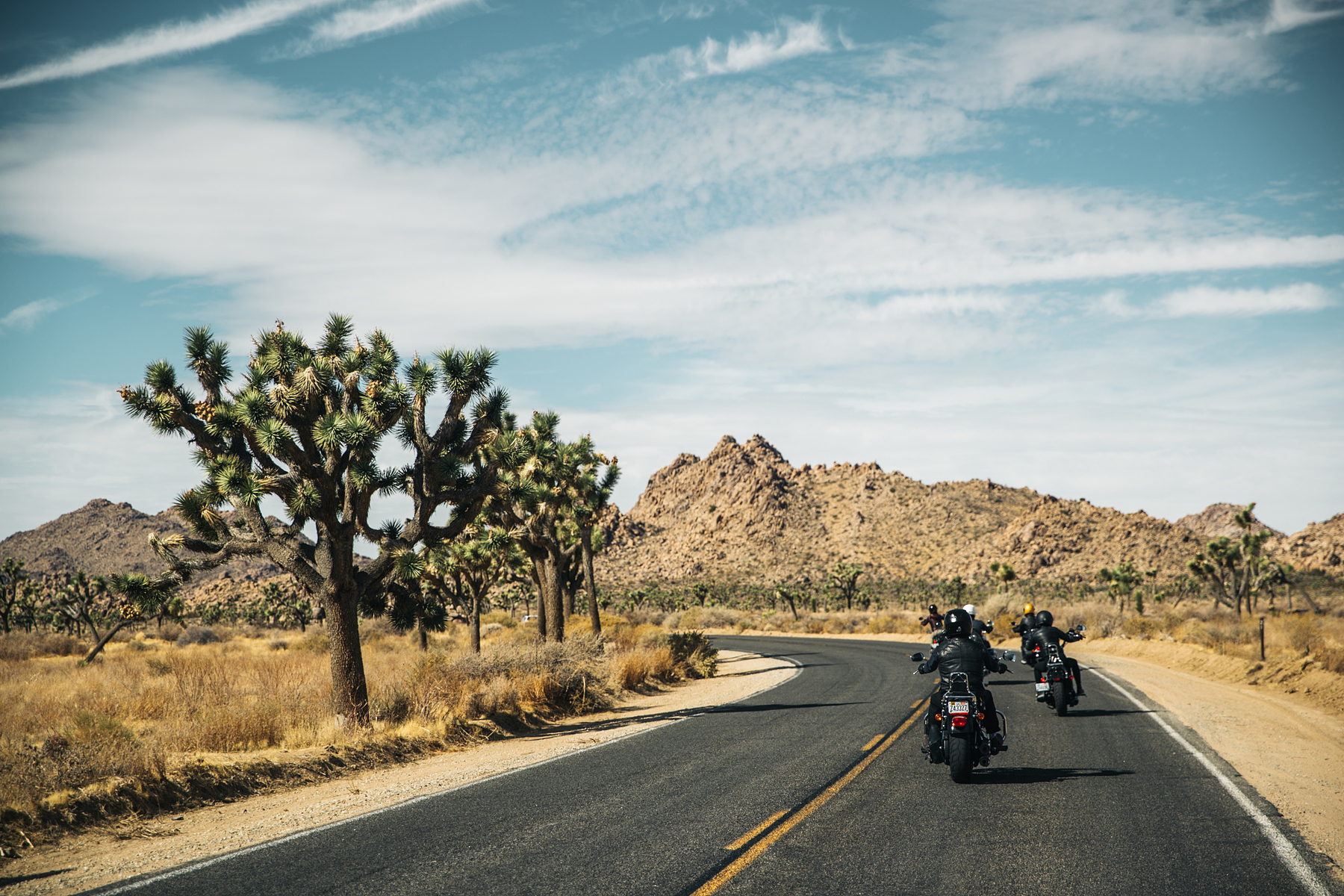 Explore Palm Springs