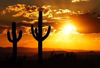 Phoenix, AZ