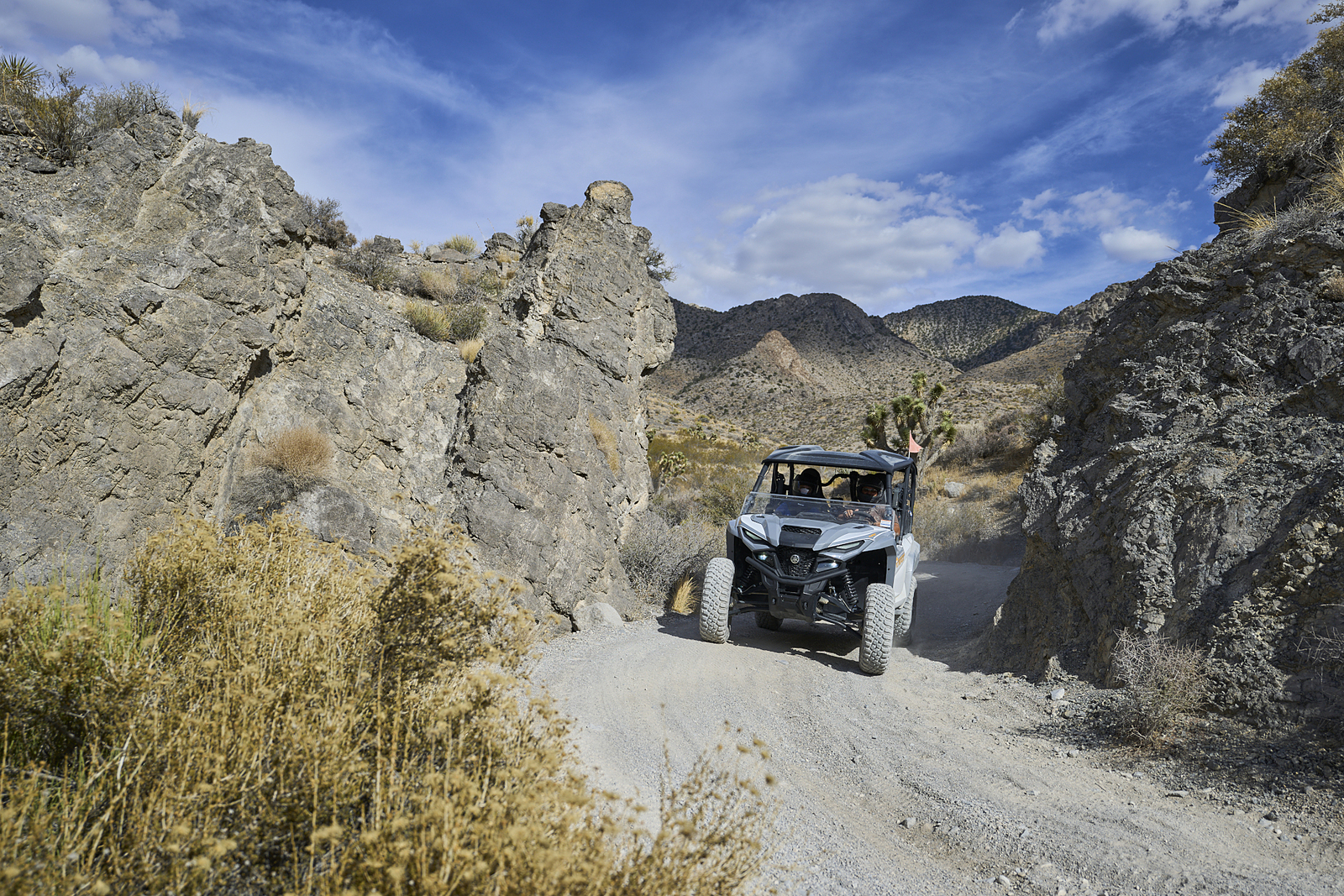 jean - Conquista el Mojave:<br/> La aventura todoterreno definitiva de Las Vegas - vehicle no. undefined