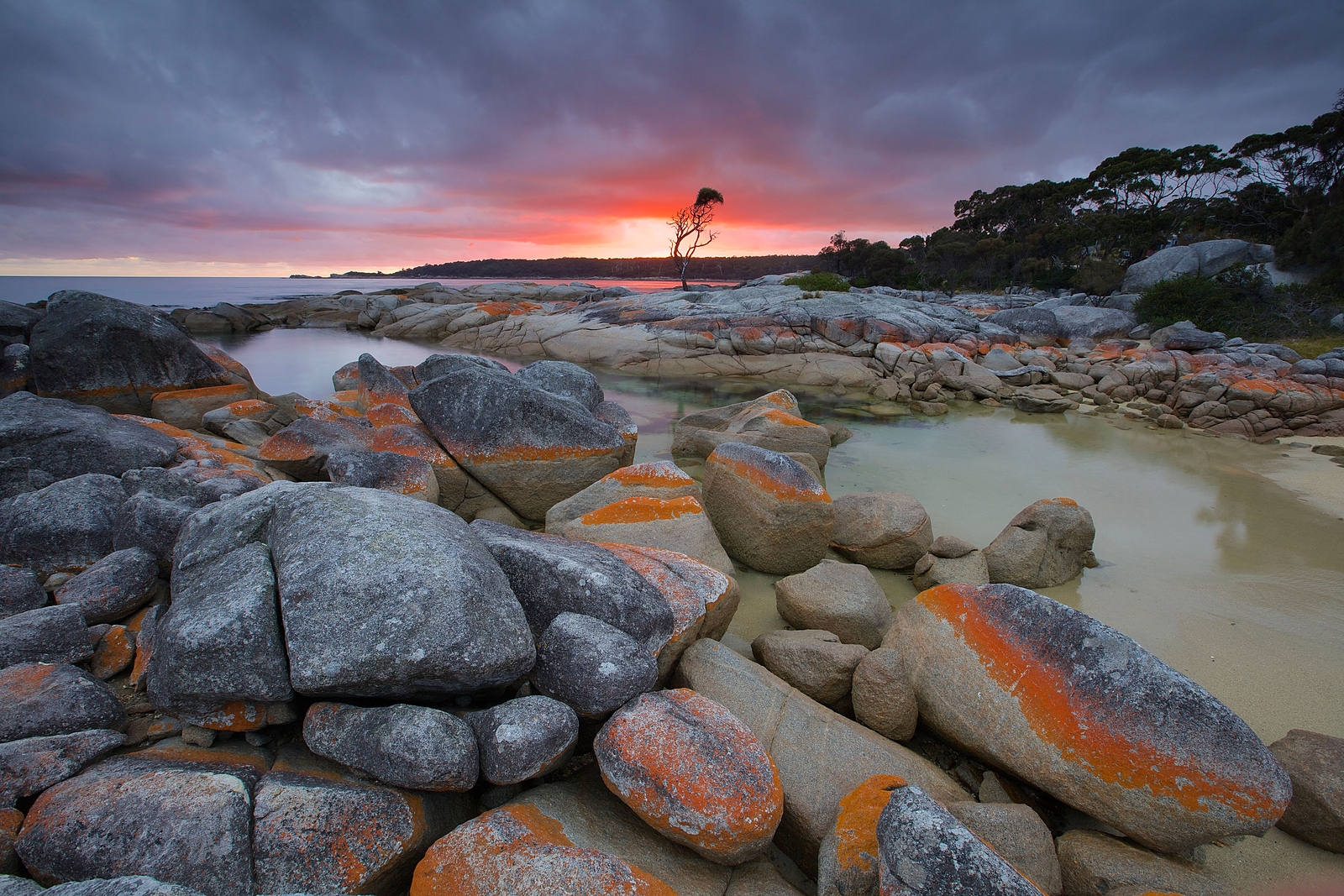 Tasmania Coastal & Highlands Tour
